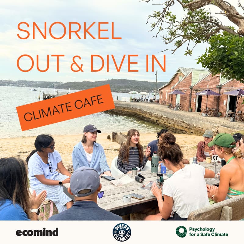 Cover Image for Snorkel Out & Dive In - Climate Cafe