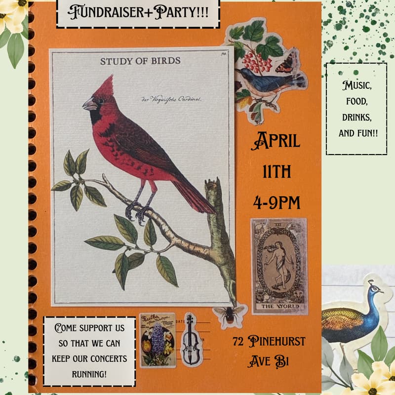 Cover Image for BlueBird Spring 2026 Fundraiser: 4/11, 4-9pm!