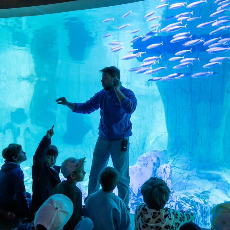 Cover Image for Jornada del Docente