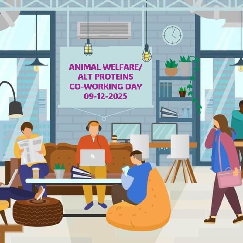 Cover Image for Animal Welfare/Alt Protein Co-working Day