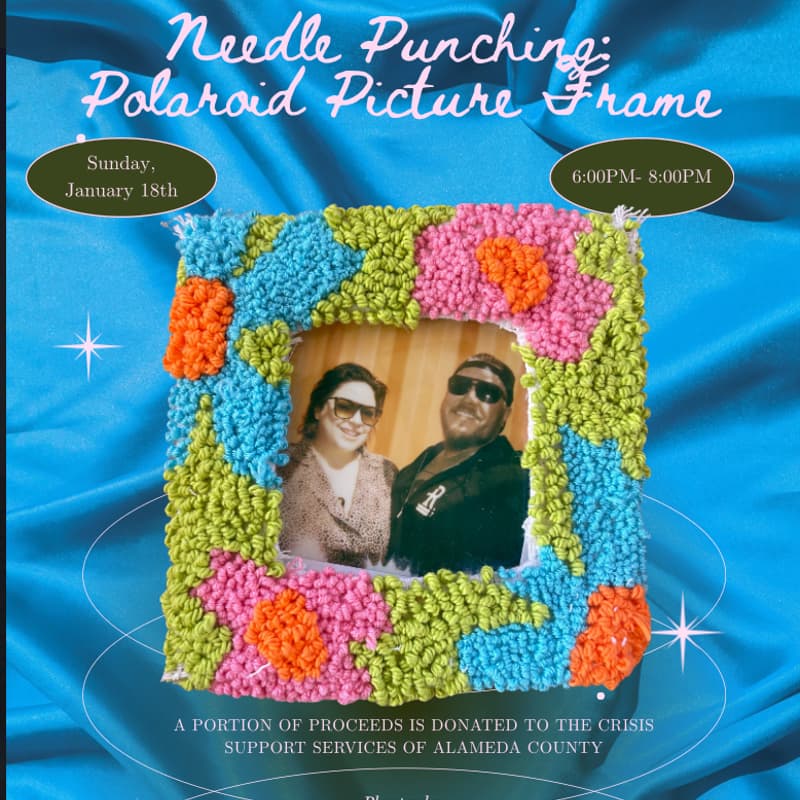 Cover Image for Needle Punch: Polaroid Picture Frame @ Planterday