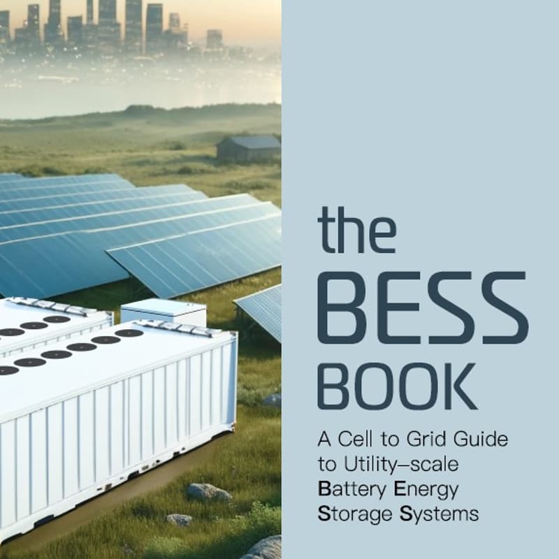 The BESS Book Launch Party! · Luma