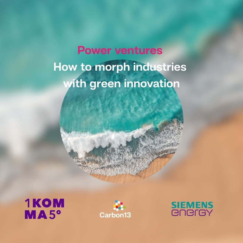 Cover Image for Power ventures: how to morph industries with green innovation
