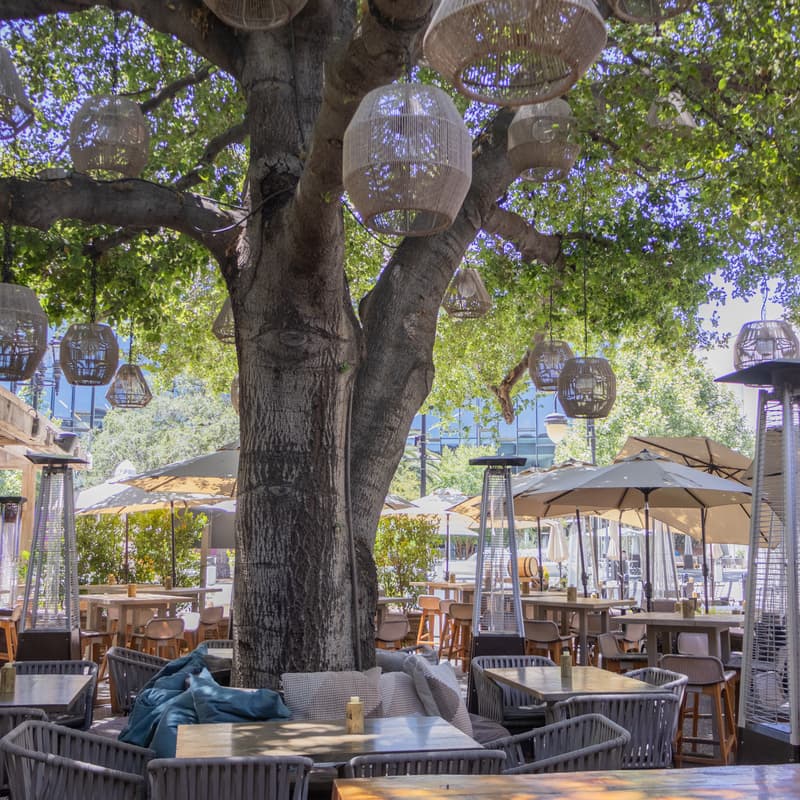 Cover Image for Give the Gift of Jardin | Get an Addt'l 10%