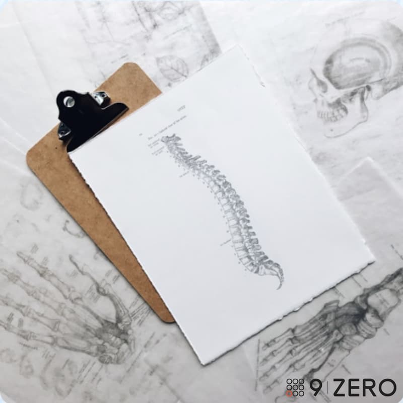 Cover Image for Lunch & Learn - Back Pain & the Biosphere Workshop by Vicki Shaw