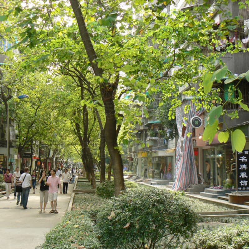 Cover Image for WORKSHOP - Let’s Invest 10% of Road Budgets in Liveable Streets by 2035