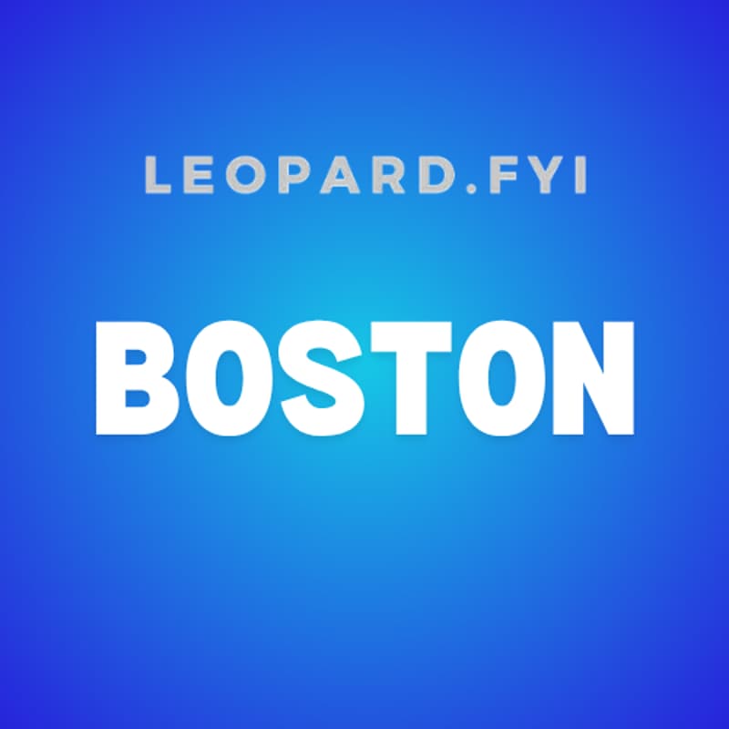 Cover Image for Leopard.FYI Boston Low Key Happy Hour (Hosted by VIA at their Davis Sq Office!)