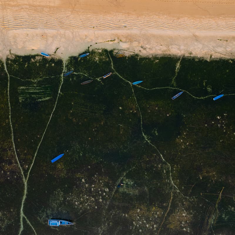 Cover Image for Earth Month, An Homage to Nature and Culture: From The Peaks Of The Mountains, To The Depths Of The Sea