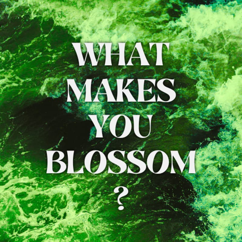 Cover Image for 3. Tend your Tale 🌱