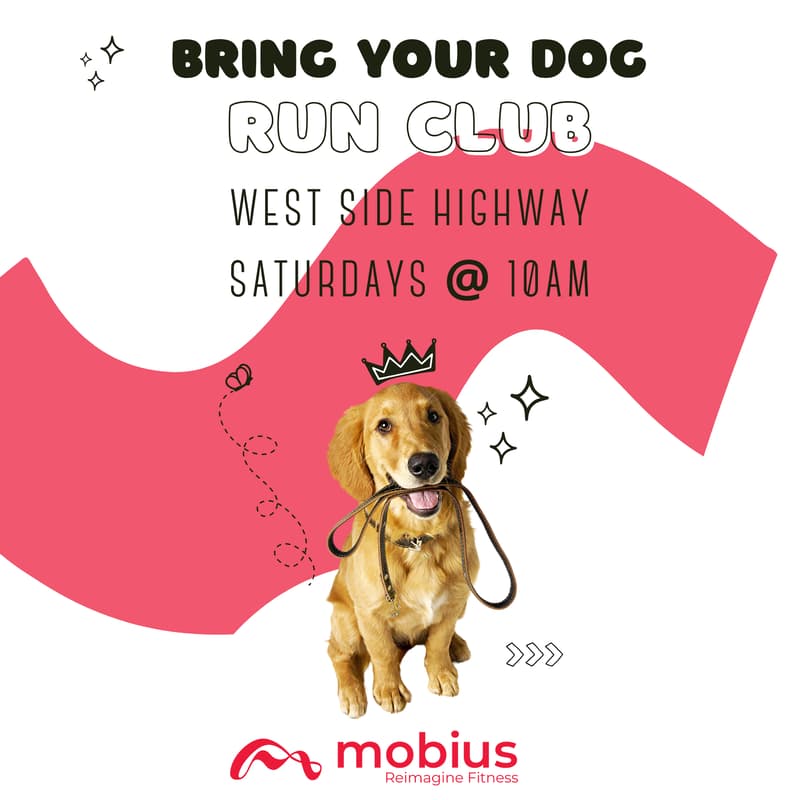 Cover Image for Dog Run Club