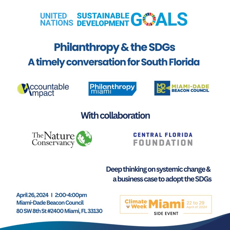 Cover Image for Philantropy & The SDGs