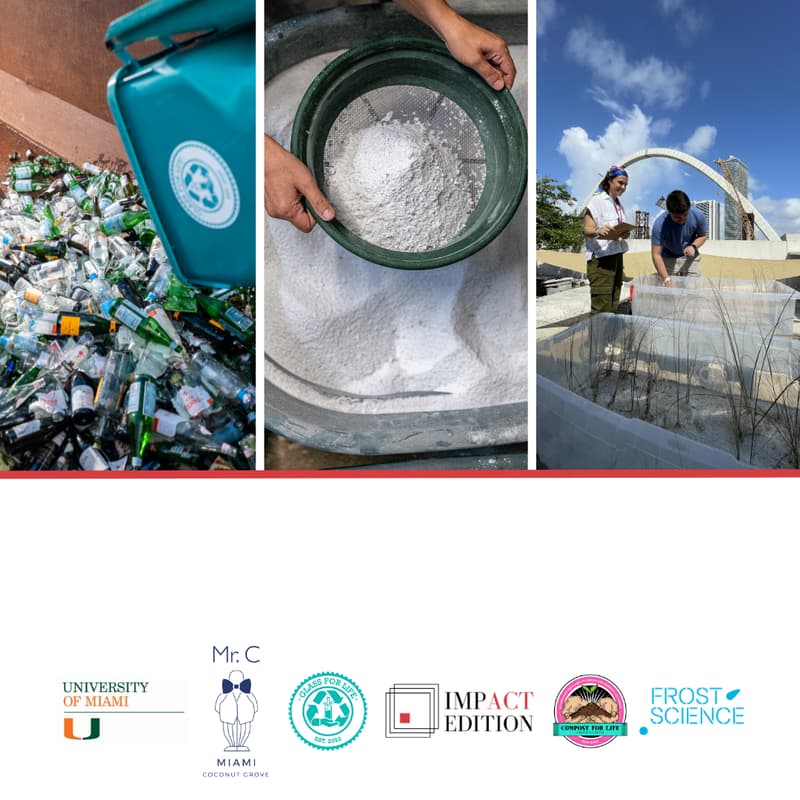 Cover Image for Glass Recycled Sand for Coastal Restoration