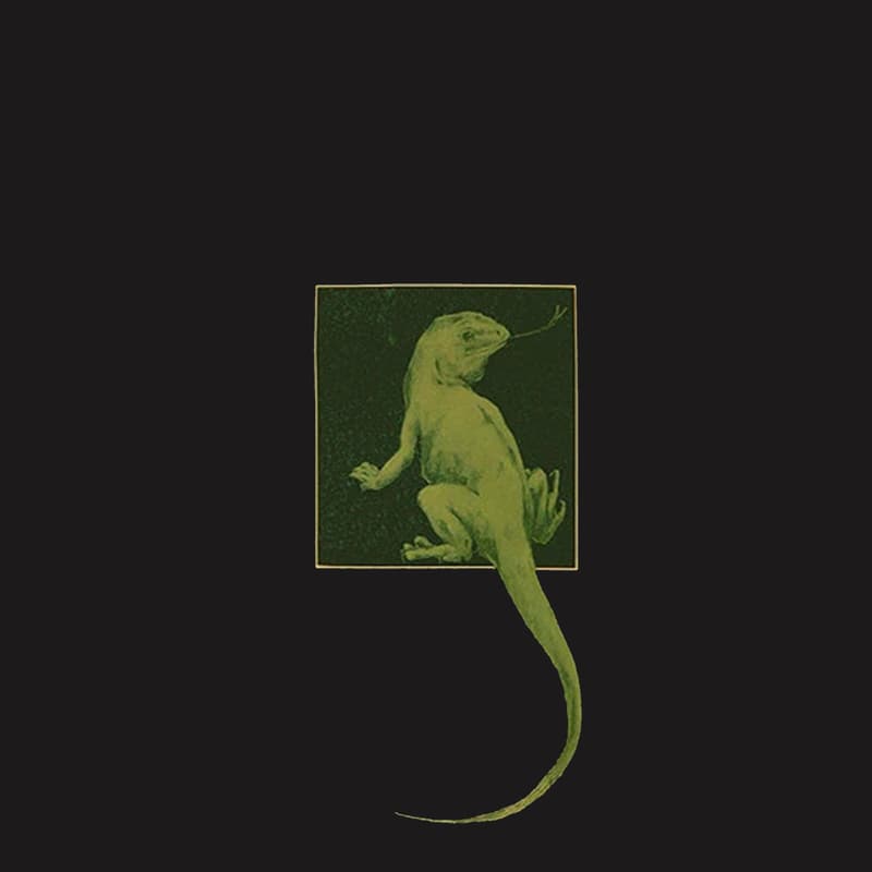 Cover Image for Philosophy Night; Introduction to more.