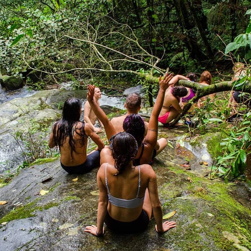Cover Image for Rainforest Reconnect: Natural Movement Adventure