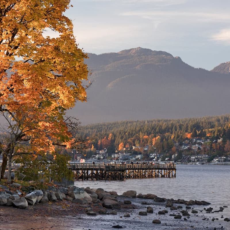 Cover Image for Cyber by Nature - Sept 17 Nature Walk – Rocky Point, Port Moody