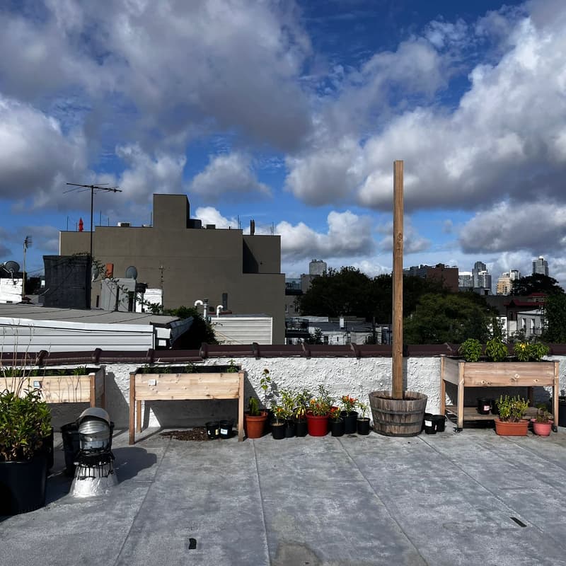 Cover Image for Gardening on the Roof | Autumn Season 🍂
