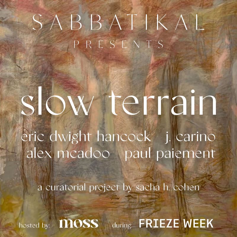 Cover Image for slow terrain