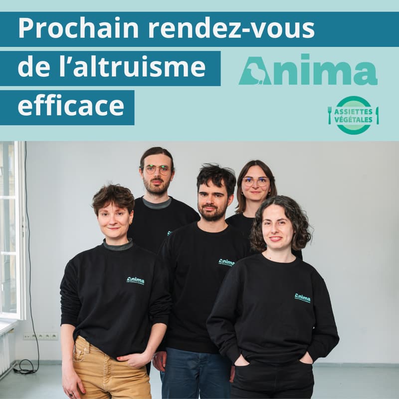 Cover Image for Tempête de cerveaux pour les animaux avec Anima