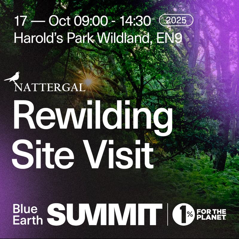 Cover Image for Rewilding Site Visit: Harold's Wildland x Nattergal