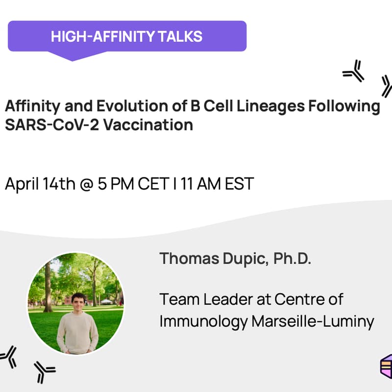 Cover Image for Affinity and Evolution of B Cell Lineages Following SARS-CoV-2 Vaccination