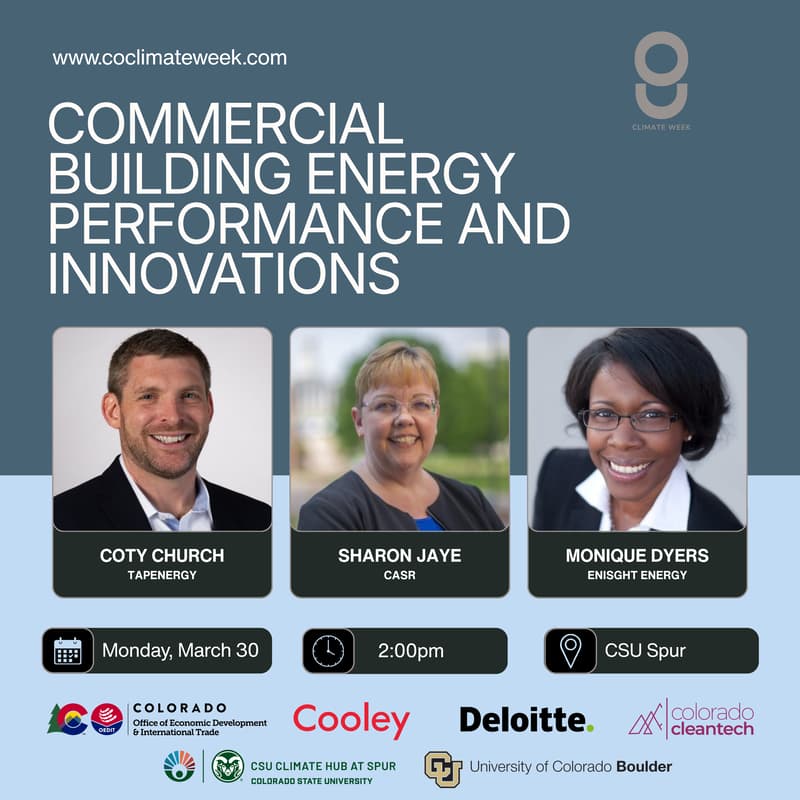 Cover Image for Commercial Building Energy Performance and Innovations