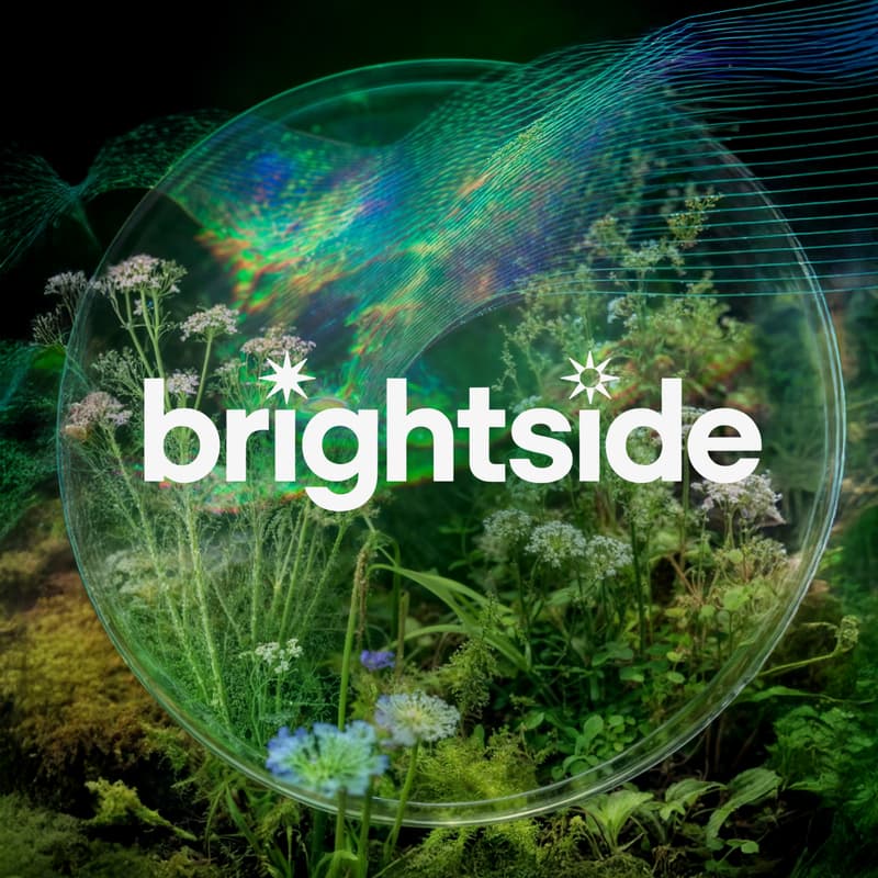 Cover Image for Brightside 002