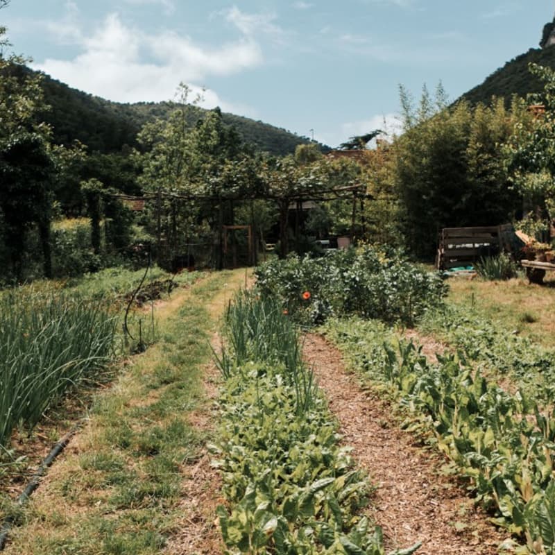 Cover Image for CFS Guest Speaker: Neo ruralism: How Valleponci Funds a Regenerative Farm Through Community Ownership
