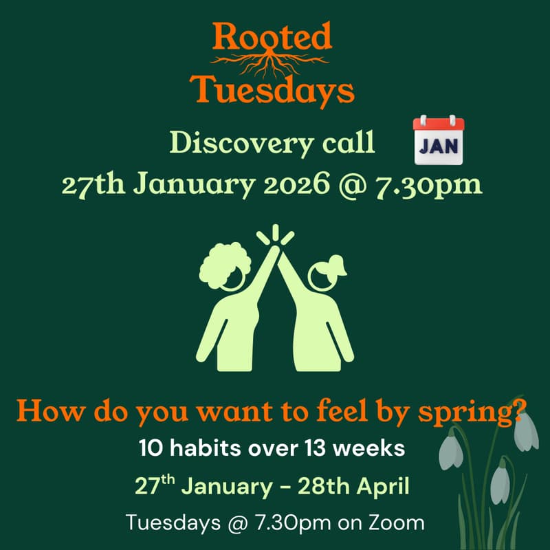 Cover Image for Rooted Tuesdays Discovery Call