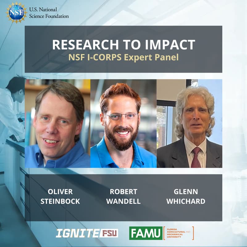 Cover Image for NSF I-Corps: Expert Panel