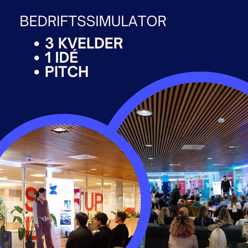 Cover Image for Bedriftssimulator