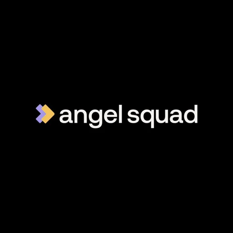 Cover Image for Chicago Angel Squad Q3