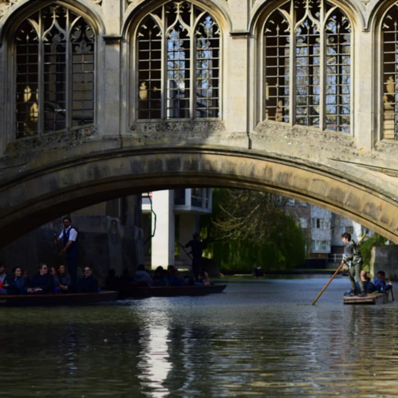 Cover Image for Dear City: Water & Nature in Cambridge