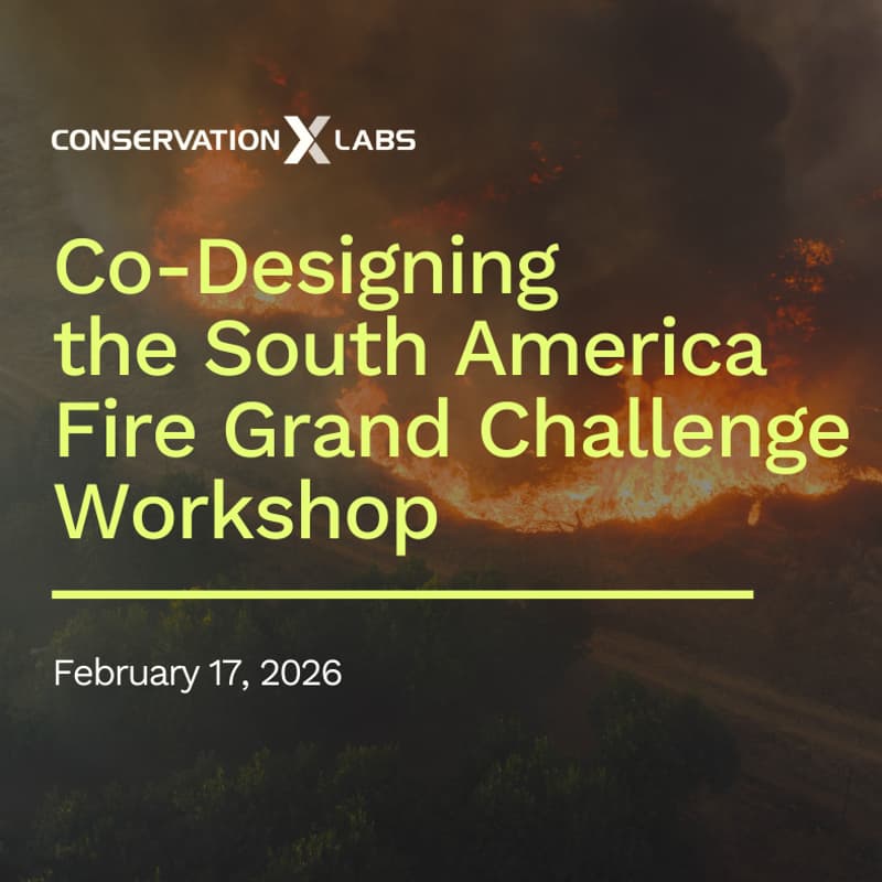 Cover Image for Co-Designing the South America Fire Grand Challenge Workshop | Igniting Innovation for Resilience