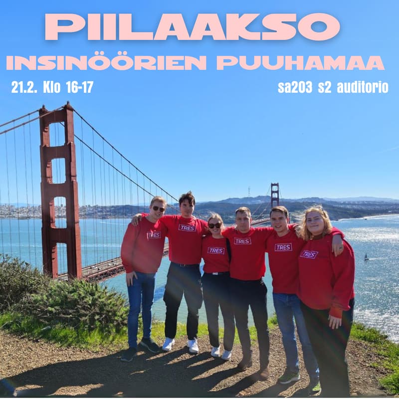 Cover Image for Piilaakso - Insinöörien puuhamaa