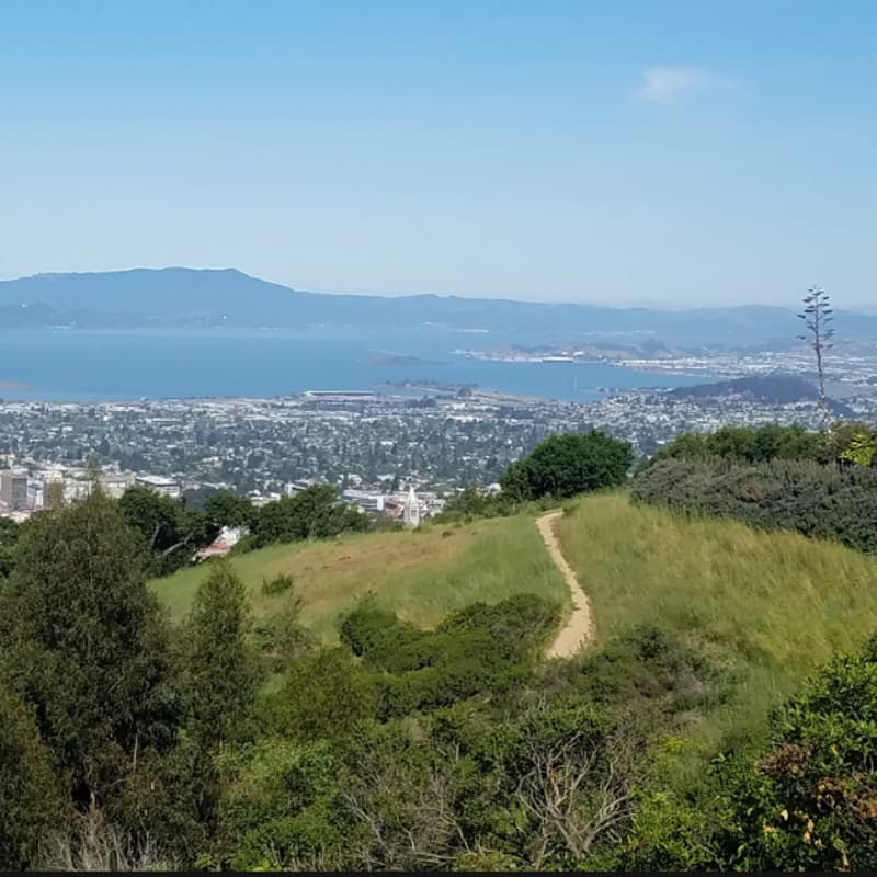 Cover Image for SF Women-Only Hike