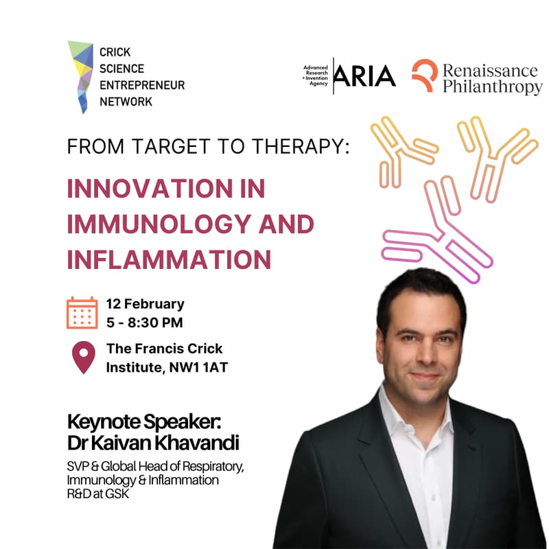 Cover Image for From Target to Therapy: Innovation in Immunology and Inflammation