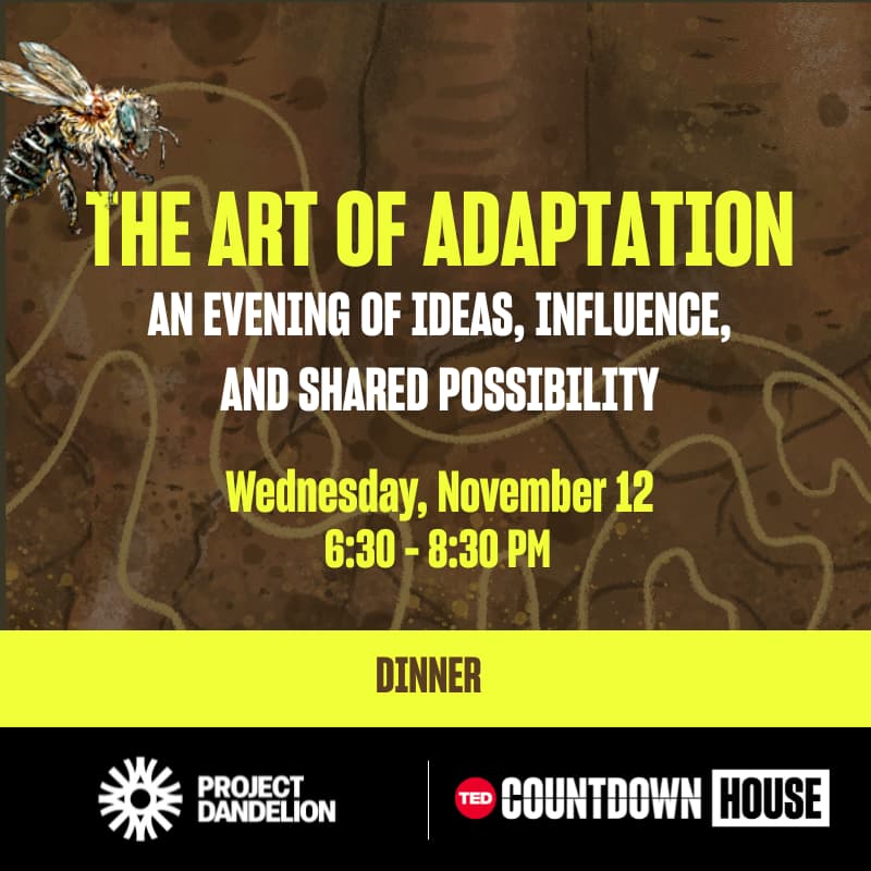 Cover Image for The Art of Adaptation: An evening of ideas, influence, and shared possibility