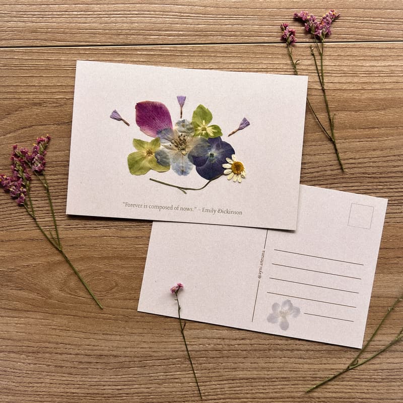 Cover Image for Bloom & Sip: Pressed Flower Postcards