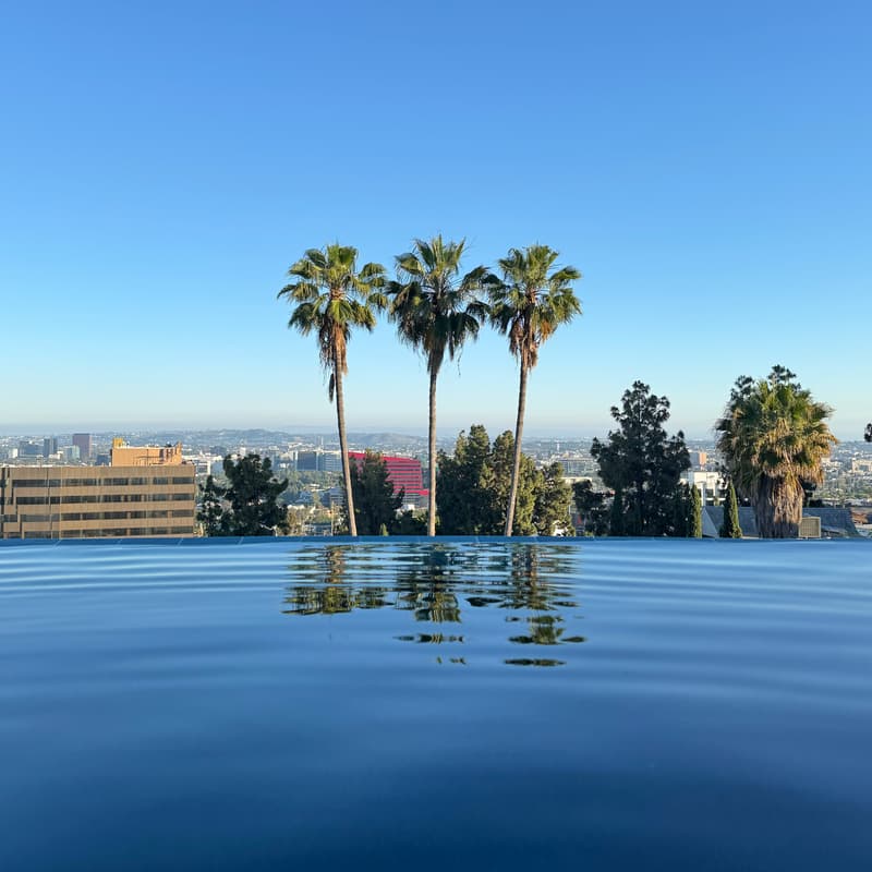 Cover Image for Pool Party & Potluck