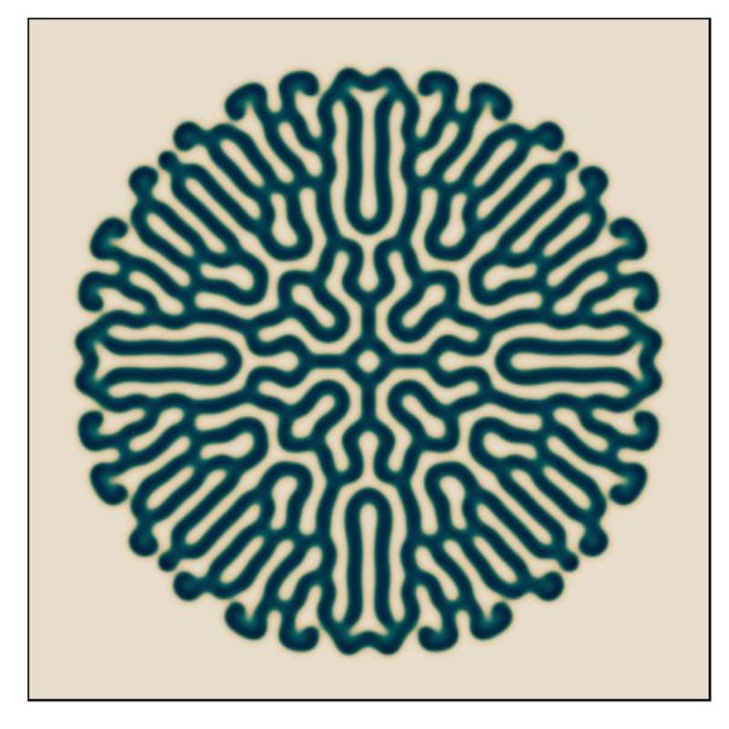 Cover Image for Conscious & Regenerative Business Lab