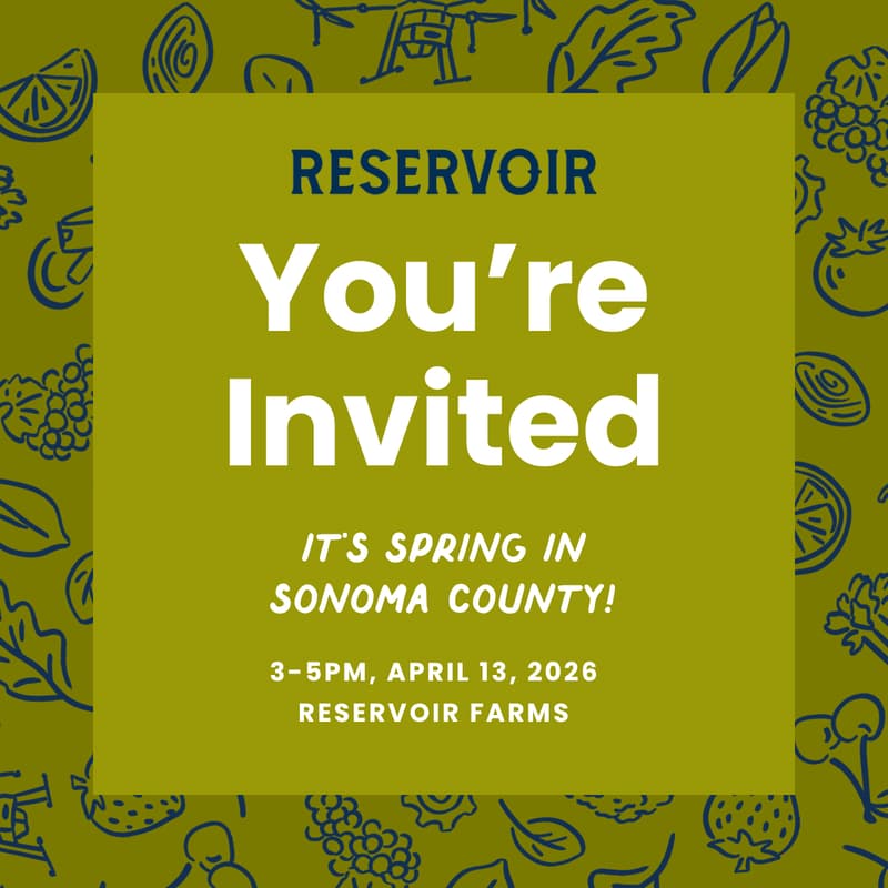 Cover Image for It's Spring in Sonoma County!