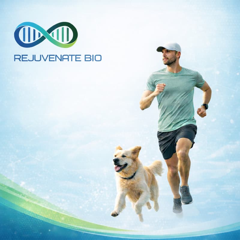 Cover Image for Rejuvenate Bio Investor Webinar