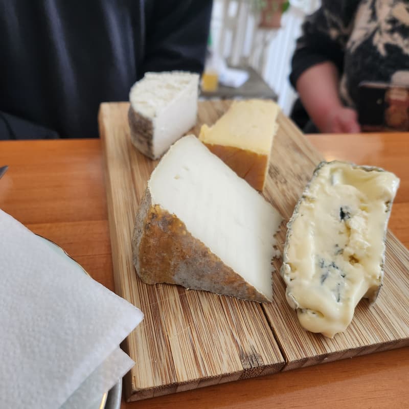 Cover Image for Cheese CHEWTORIAL