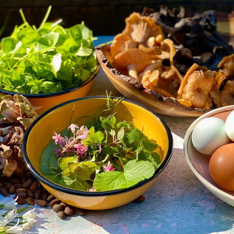 Cover Image for A4FC Rematriation of Indigenous Foodways w/ Sara Calvosa Olson - Workshop #2 - Cooking Demonstration