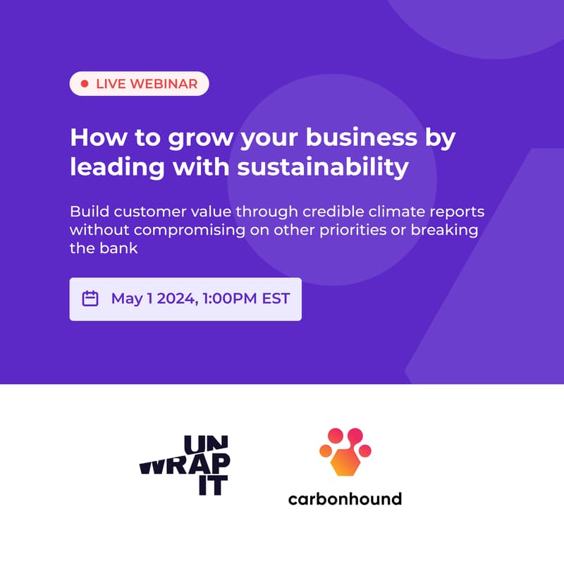 Cover Image for How to grow your business by leading with sustainability