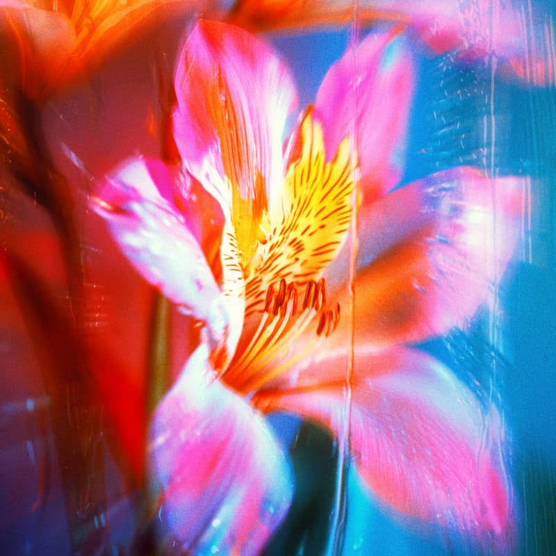 Cover Image for REBIRTH: Beltane Breathwork Ceremony with Benjamin Tree - Online
