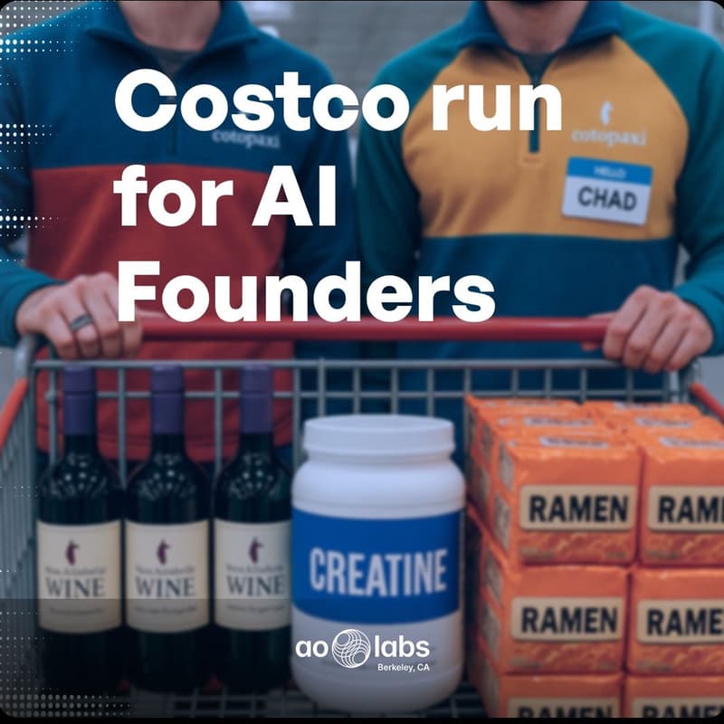 Cover Image for Costco run for AI founders