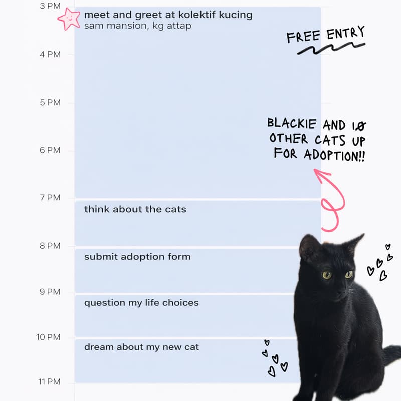 Cover Image for February Adoption Drive 🏠