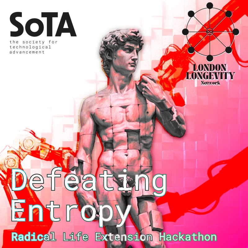 Cover Image for Defeating Entropy Hackathon