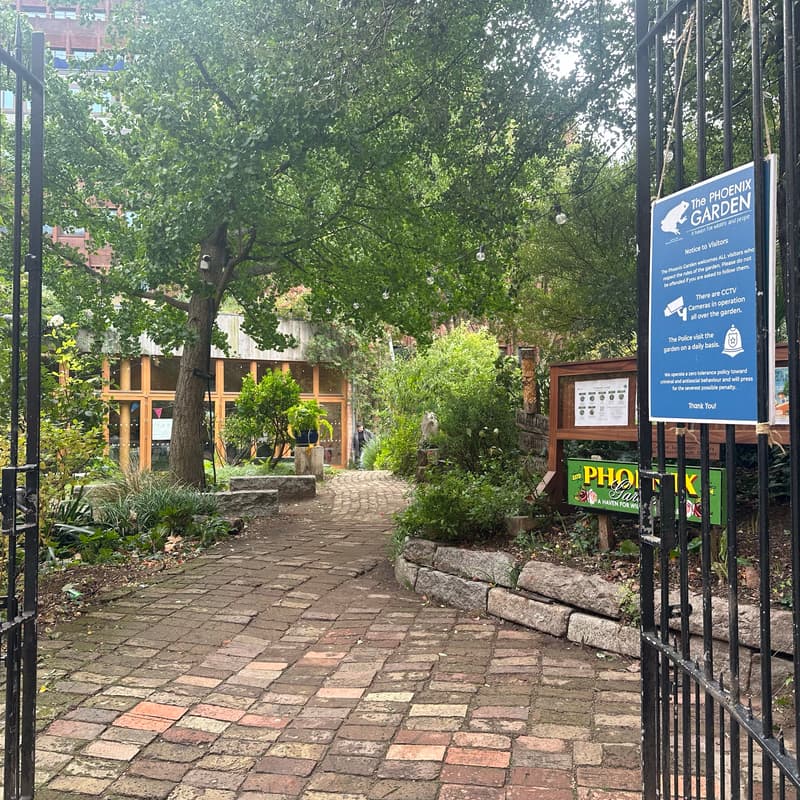 Cover Image for The Garden Salon with Hannah Ashe